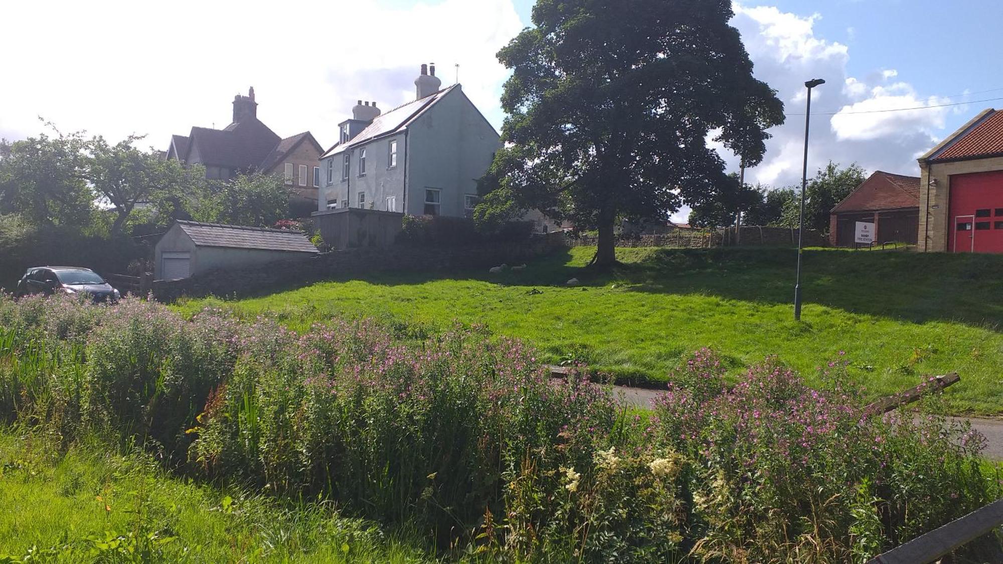 Littlebeck Bed & Breakfast Danby Exterior photo