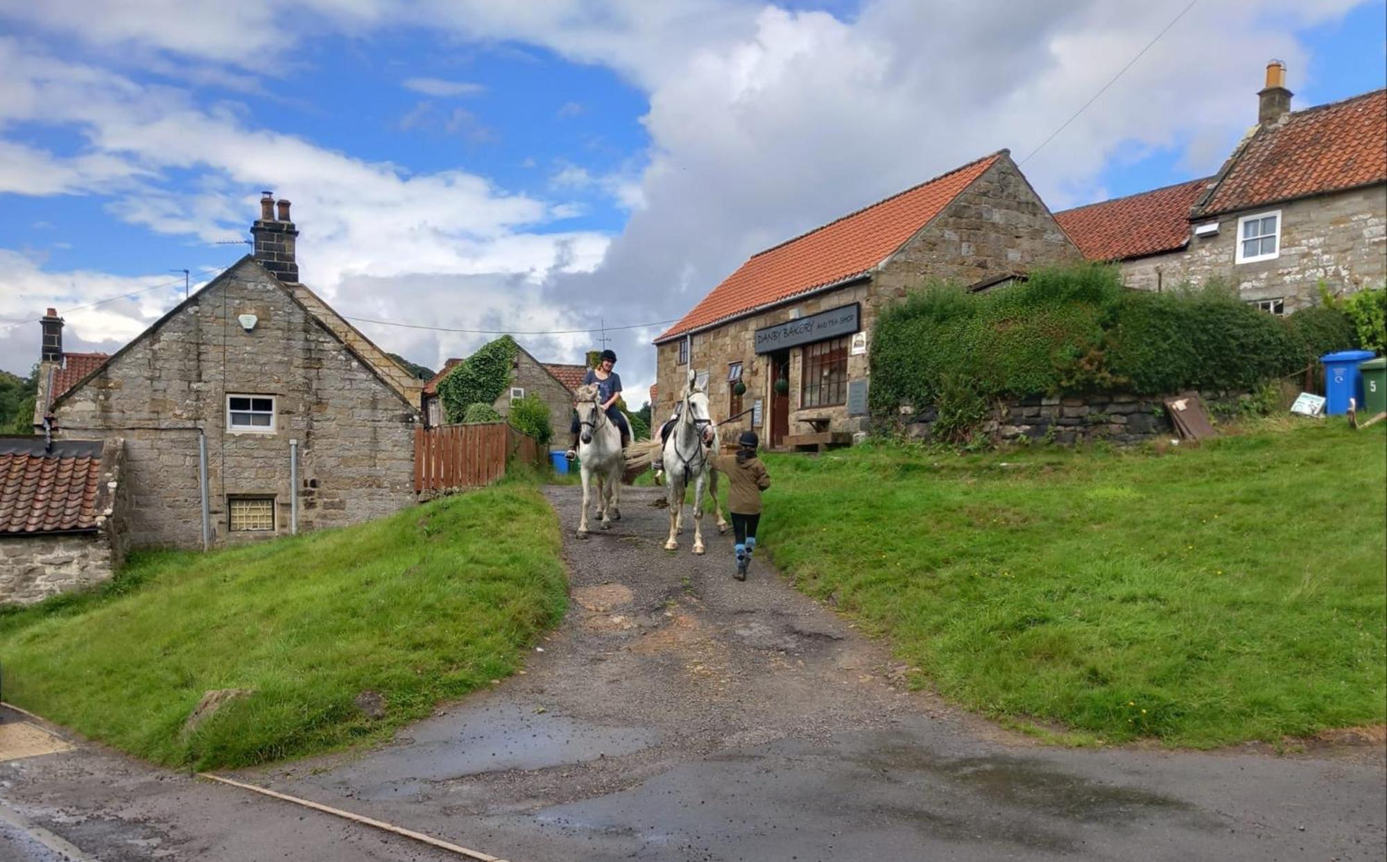 Littlebeck Bed & Breakfast Danby Exterior photo